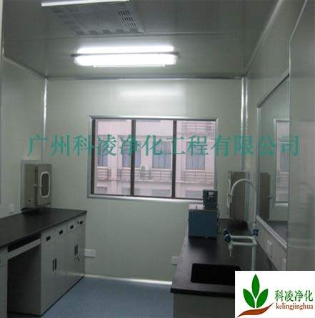 潔凈實驗室 潔凈實驗室