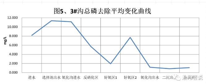 污水處理廠夏季運(yùn)行中磷的去除問題探討