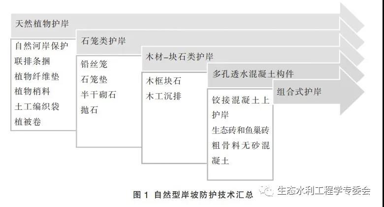 基于生態(tài)水工學的農村水系自然化治理技術體系構建