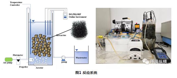 高氨氮有機(jī)廢水深度處理新利器：SCONDA?工藝