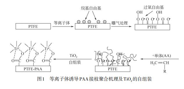 光催化分離膜的制備及其在水處理中的應用