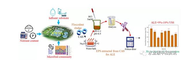 研究速遞 | 活性污泥類藻酸鹽物質(zhì)回收：潛力、性質(zhì)及限制因素